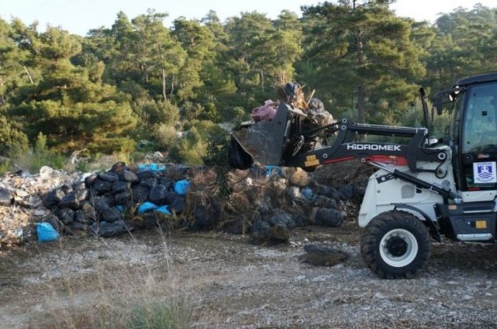 Bodrum'daki ormandan 65 ton çöp çıktı