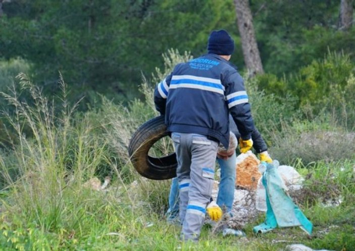 Bodrum'daki ormandan 65 ton çöp çıktı