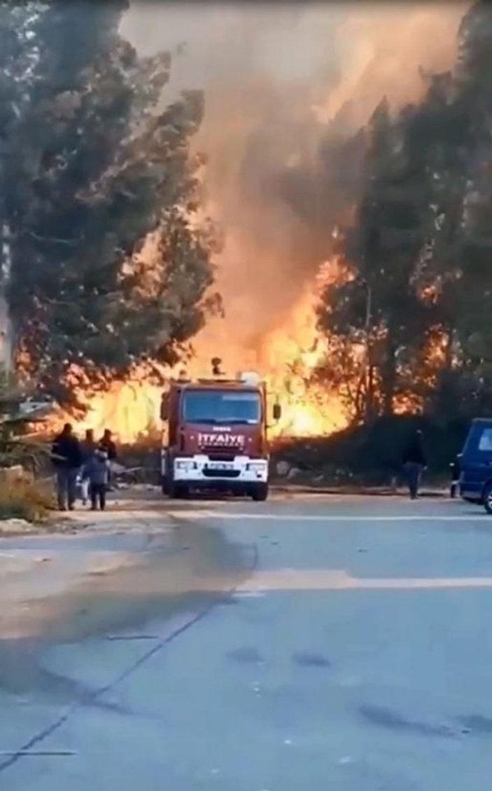 Antalya'da sazlık yangını