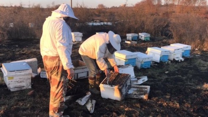 Kuru otlar tutuştu, 30 arı kovanı küle döndü
