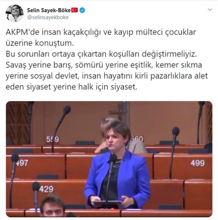 Selin Sayek Böke, Strazburg'da Türkiye'yi şikayet etti