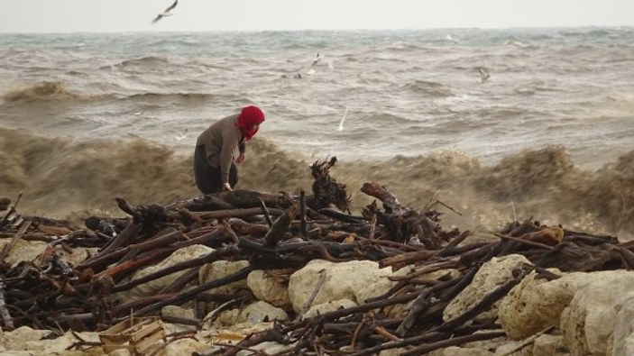 Mersin'de kıyıya vuran odunları toplamak için yarıştılar