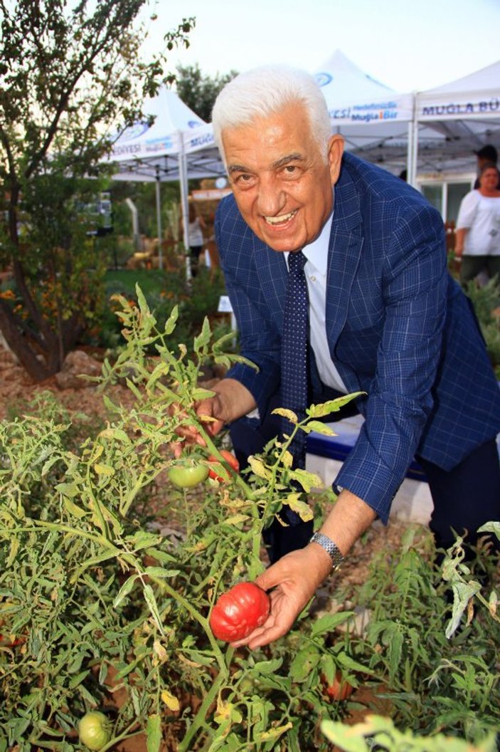 Muğla'da yerel tohum merkezi, 'ata tohumlarını' koruyor