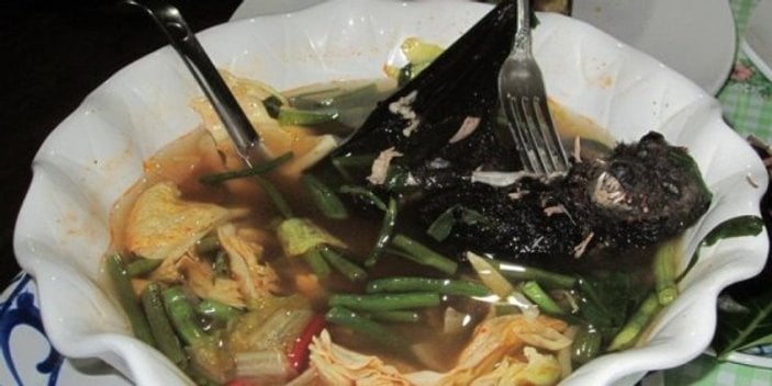 Çin'de yarasa çorbasıyla ilgili yeni açıklama