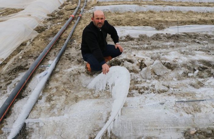 Adana'da karpuz tarlaları buz kesti