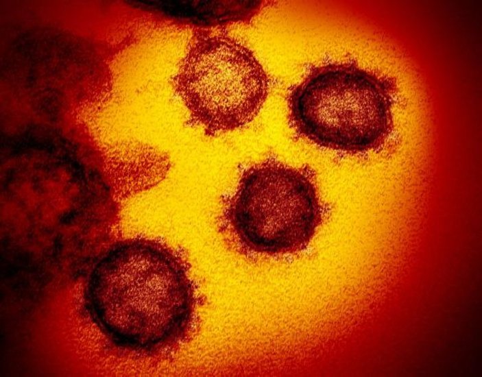 Koronavirüs fotoğrafları yayınlandı