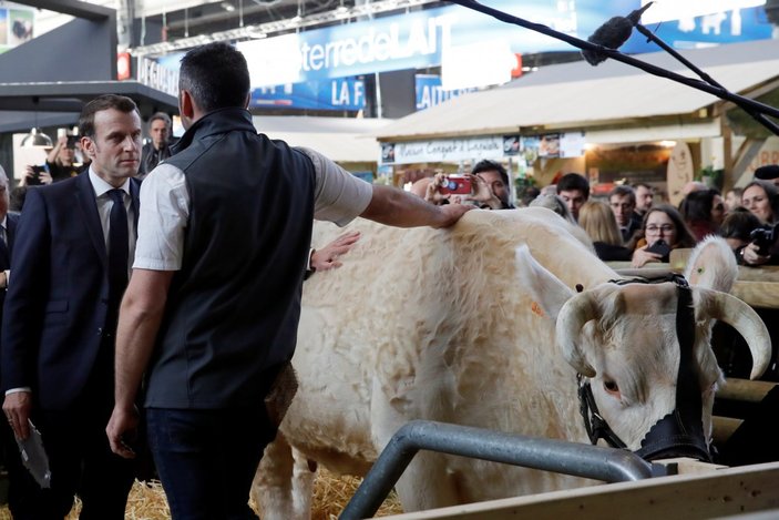 Macron, hayvanların kalitesini kontrol etti