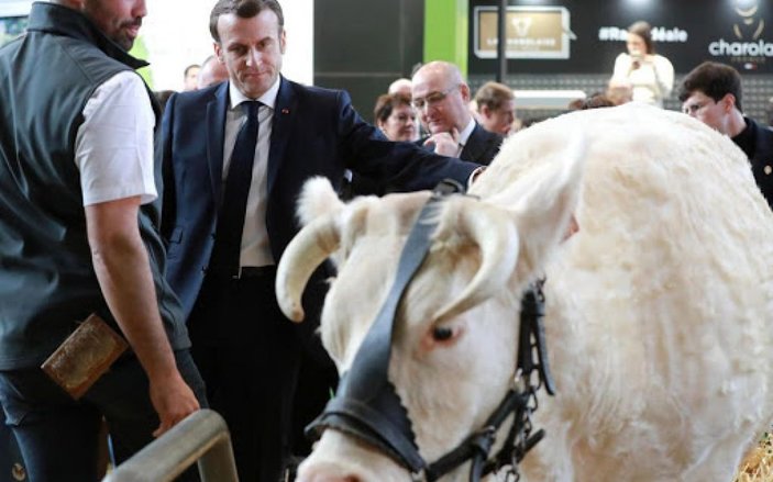 Macron'un katıldığı tarım fuarında sarı yelekli gerginliği