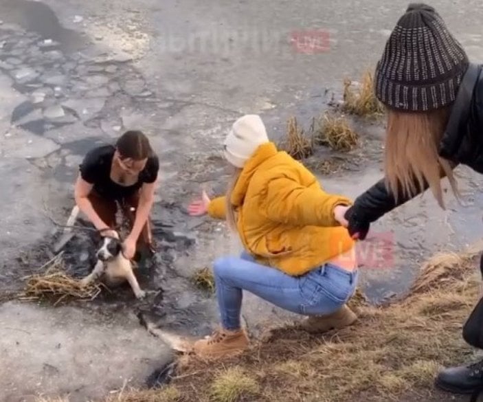 Rus kadın buzları kırarak köpeği kurtardı