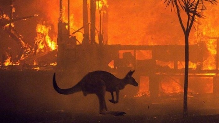 Avustralya'daki yangınlar 240 gün sonra söndü