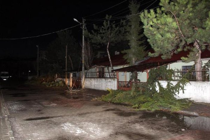 Bolu'da şiddetli fırtına ağaçları devirdi