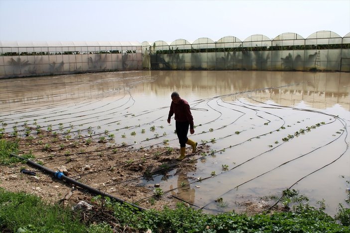 Mersin'de taşan dere tarım arazisine zarar verdi