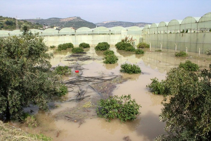 Mersin'de taşan dere tarım arazisine zarar verdi