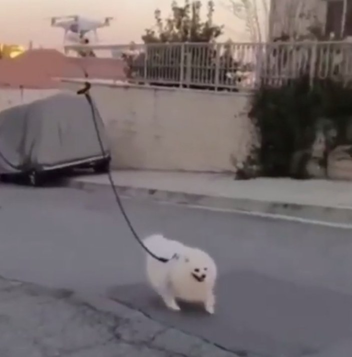 Karantinayı bozmamak için köpeğini drone ile gezdirdi