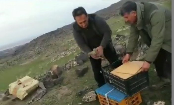 Iğdır'da canlı mühre ile keklik avına 64 bin lira ceza
