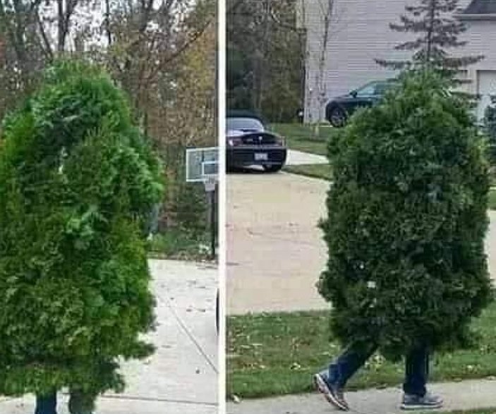 Sırbistan'da ağaç kılığına girerek sokağa çıktı
