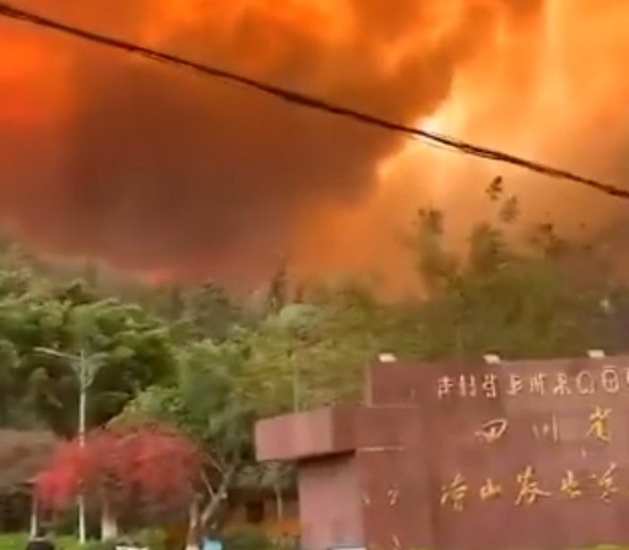 Çin'de orman yangını: 19 ölü