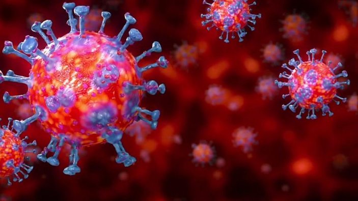 Bilim adamları, koronavirüsün hassas noktasını buldu