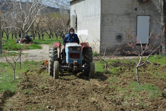 Antalya'da polis yaşlı adamın bahçesini sürdü