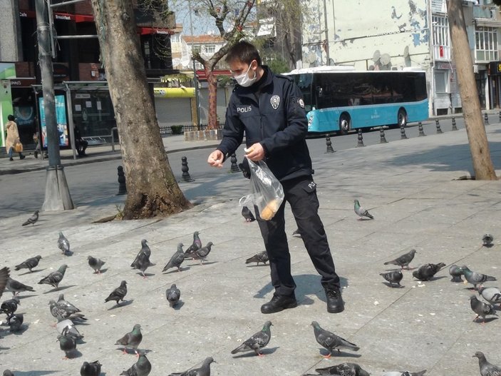 Yaşlı kadın güvercin beslemek için sokağa çıktı
