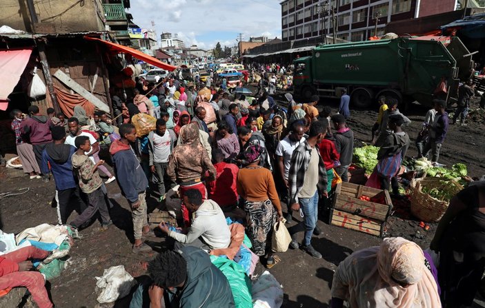 Etiyopya'da çekirge istilası: 1 milyon insan ölebilir
