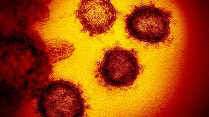 Koronavirüsün gen haritası çıkarıldı