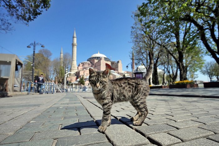 İstanbul'da koronavirüs sakinliği