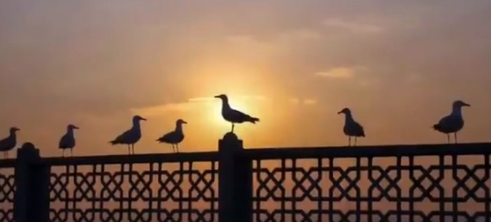 Bakan Koca'dan videolu uyarı: Büyük baharı bekliyoruz