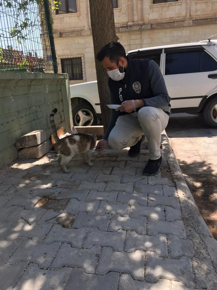 Nusaybin polisi sokak hayvanlarını unutmadı