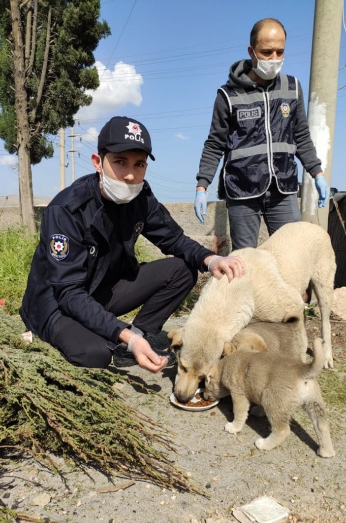 Nusaybin polisi sokak hayvanlarını unutmadı