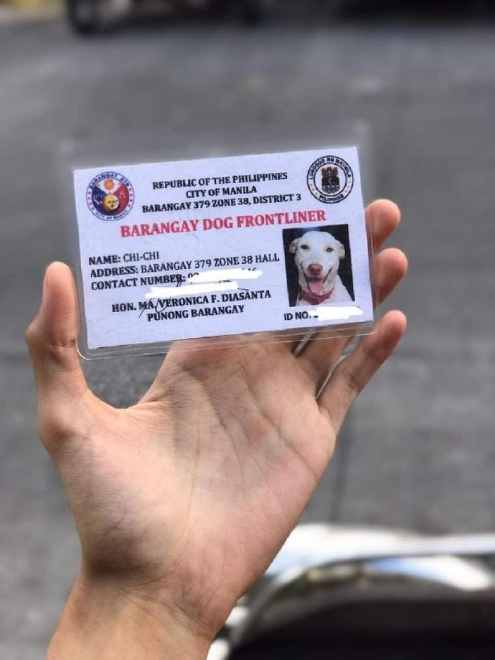 Filipinler'de görevli köpeğe kimlik kartı verildi