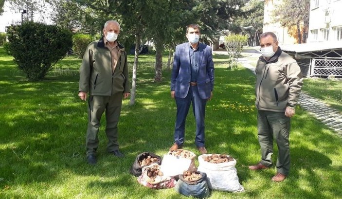 Elazığ'da kaçak salep soğanı toplayan 6 kişiye ceza