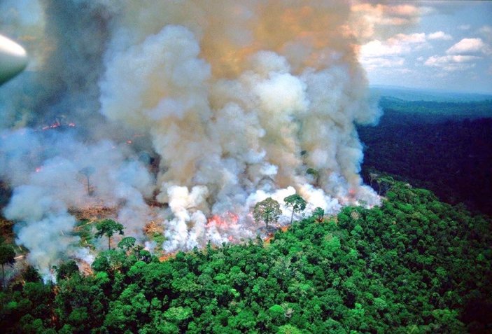 Amazon'daki tahribat, yeni salgınları tetikleyebilir