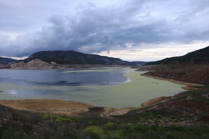 Alg patlaması baraj gölünün rengini değiştirdi