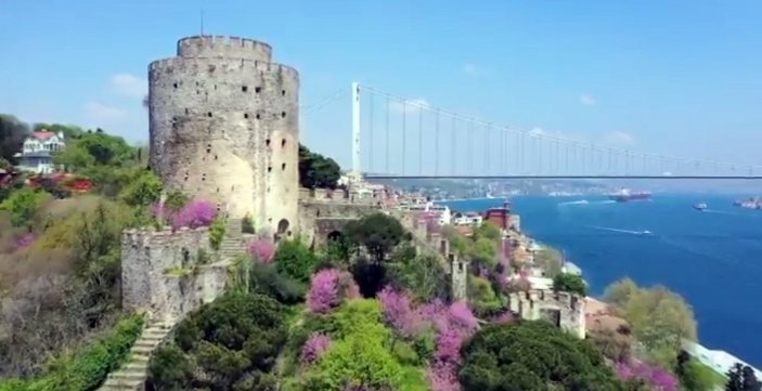 İstanbul Valisi Yerlikaya'dan erguvan paylaşımı