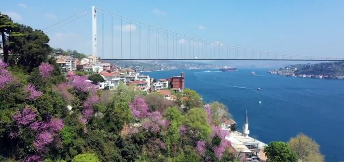 İstanbul Valisi Yerlikaya'dan erguvan paylaşımı