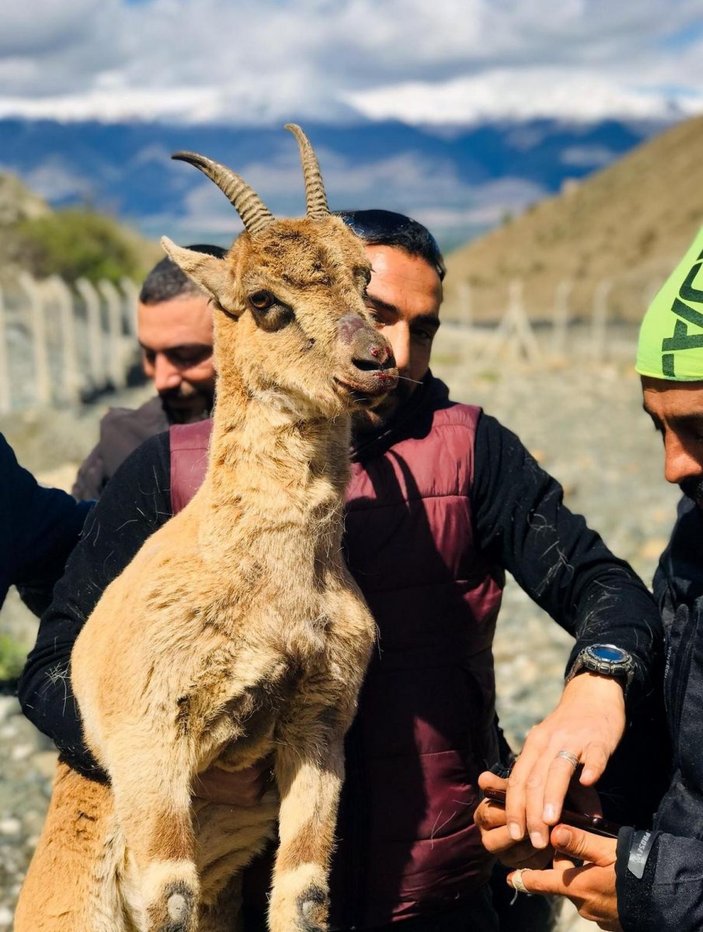 Erzincan'da kurtardıkları keçiyle fotoğraf çektirtiler