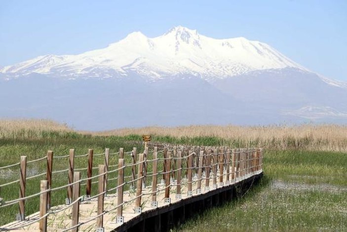 Kayseri'deki Sultan Sazlığı'nı görenler hayran kalıyor