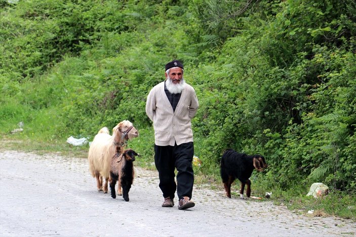 63 yaşındaki adam keçilerini omzunda taşıyor