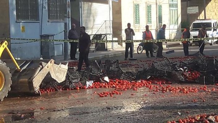 Şanlıurfa'da devrilen kamyonun sürücüsü öldü