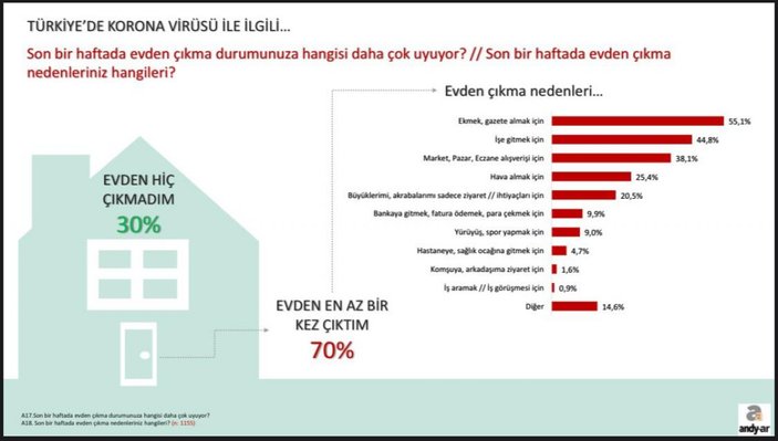 Andy-Ar'ın korona günleri araştırması