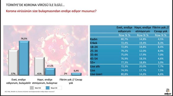 Andy-Ar'ın korona günleri araştırması