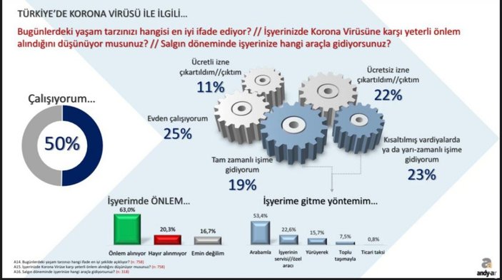 Andy-Ar'ın korona günleri araştırması