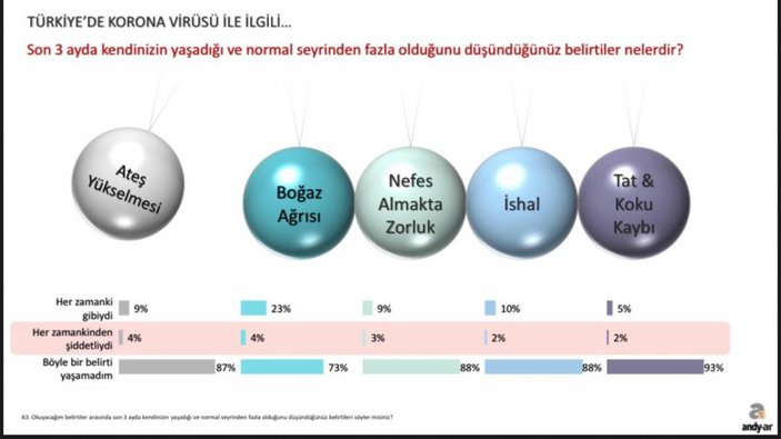 Andy-Ar'ın korona günleri araştırması