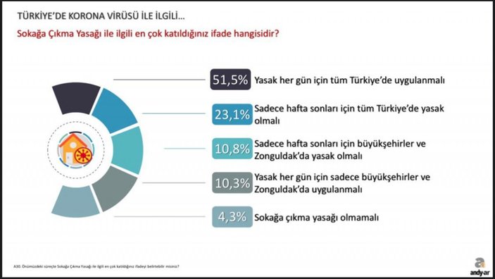 Andy-Ar'ın korona günleri araştırması