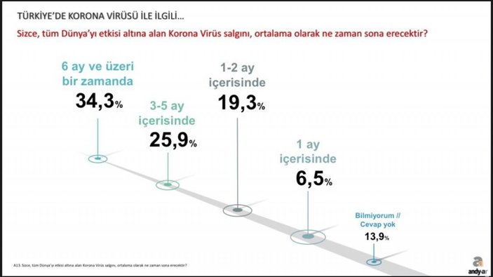 Andy-Ar'ın korona günleri araştırması