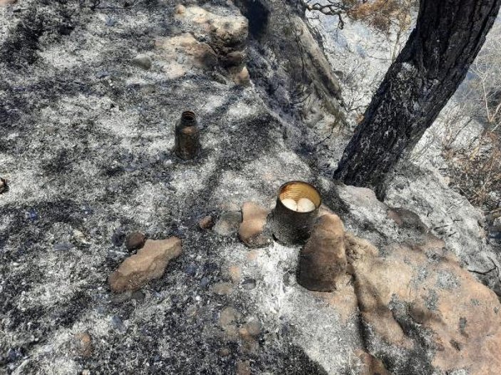 Antalya'daki ormanda yangın çıktı, 10 dönüm alan zarar gördü