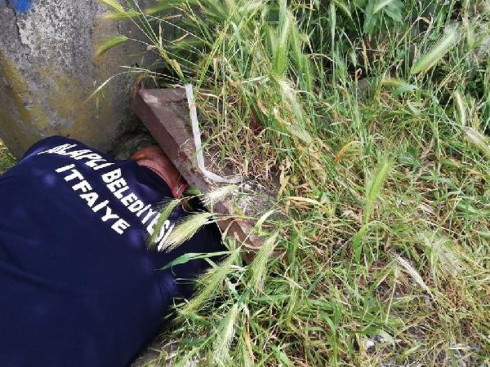 Zonguldak'ta su kanalına sıkışan yavru köpek kurtarıldı