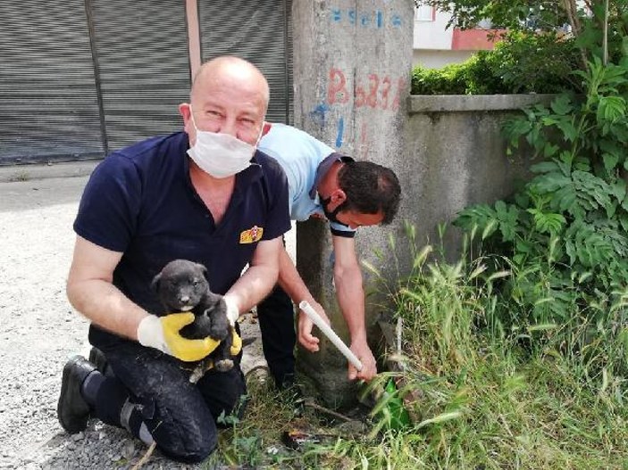 Zonguldak'ta su kanalına sıkışan yavru köpek kurtarıldı
