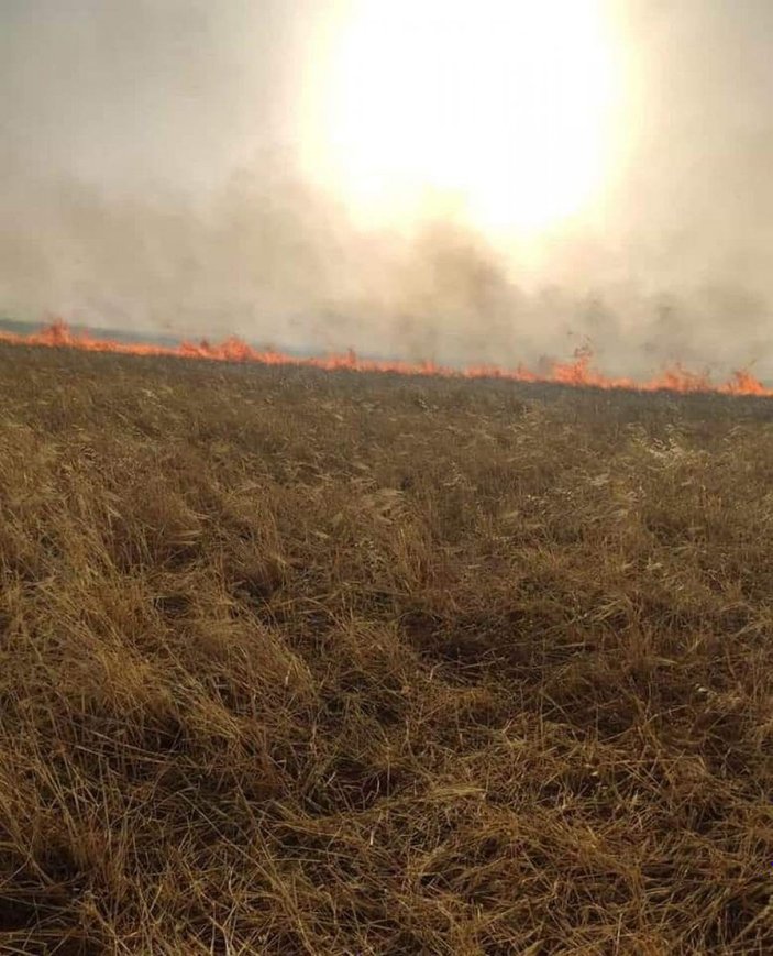 Suriye'de YPG/PKK sivillerin tarım arazilerini yaktı